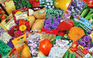 Как выбрать качественные семена: приглядываемся к упаковке Компания «Русский огород»