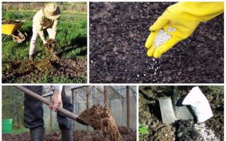 How to make the soil loose