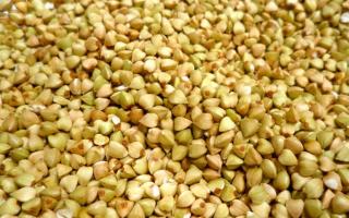 메밀 재배 : 심기, 관리, 수확