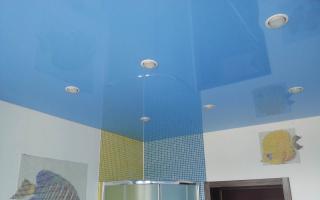 Dokončenie stropu v kúpeľni: možné možnosti Hlavné typy stropov a ich charakteristiky